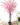 ต้นซากุระ-160cm-ทรงFree-form-(RSA002).1