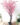 ต้นซากุระ-200cm-ทรงFree-form-(RSA004).1