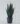 ต้นลิ้นมังกร เขียว Snake Plant สูง 80cm 1 กระถางมี 9 ต้น (RLM2) (2)