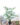 ต้นมอนสเตอร่าด่าง-PU-130cm-(RMO031)-01