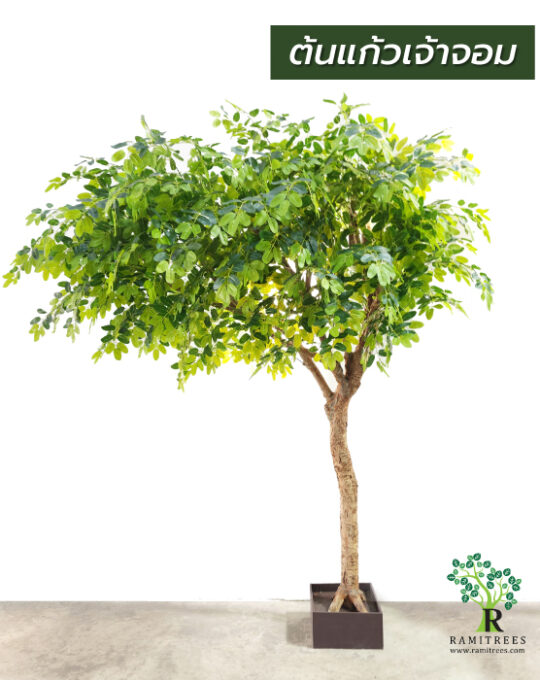 ต้นไม้โชว์ใบปลอม - Ramitrees (รมิทรี)