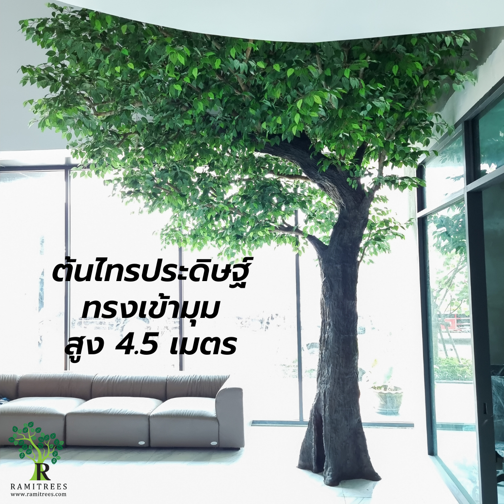 Project CNA Biotech ตกแต่งปรับภูมิทัศน์โซนรับแขกในสำนักงาน ด้วยต้นไม้ประดิษฐ์ขนาดใหญ่ by ramitrees.11