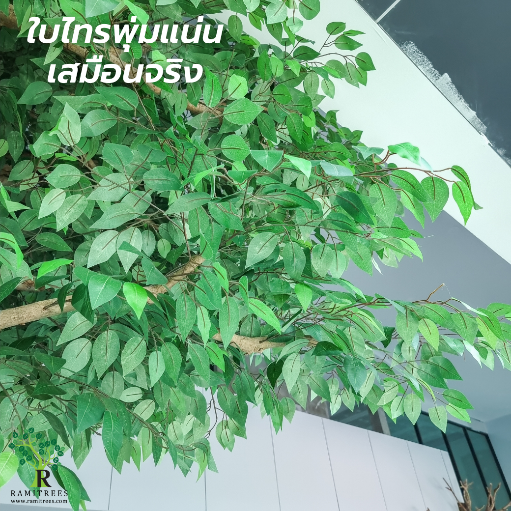 Project CNA Biotech ตกแต่งปรับภูมิทัศน์โซนรับแขกในสำนักงาน ด้วยต้นไม้ประดิษฐ์ขนาดใหญ่ by ramitrees.16