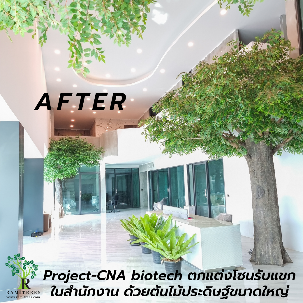 Project CNA Biotech ตกแต่งปรับภูมิทัศน์โซนรับแขกในสำนักงาน ด้วยต้นไม้ประดิษฐ์ขนาดใหญ่ by ramitrees.2