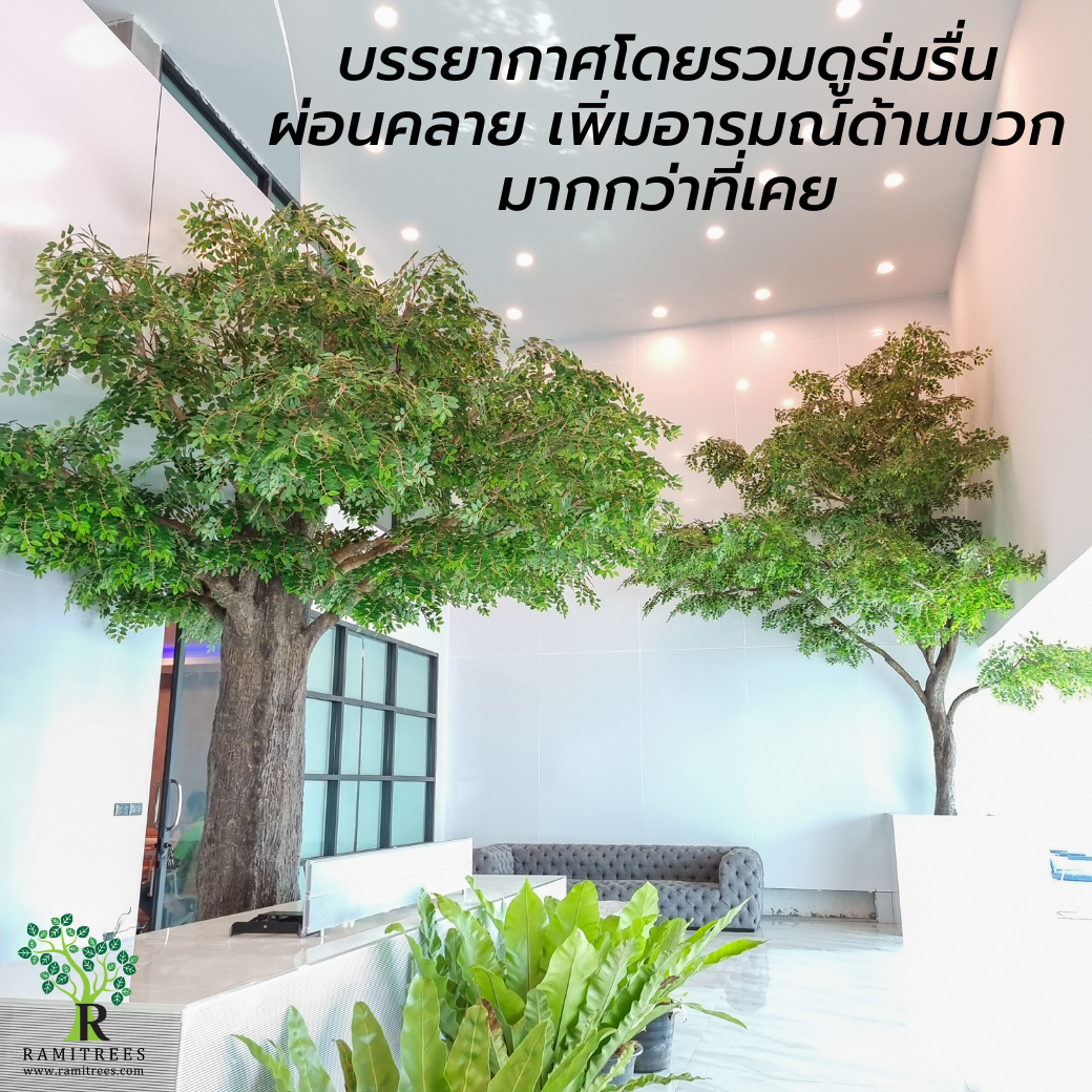 Project CNA Biotech ตกแต่งปรับภูมิทัศน์โซนรับแขกในสำนักงาน ด้วยต้นไม้ประดิษฐ์ขนาดใหญ่ by ramitrees.3