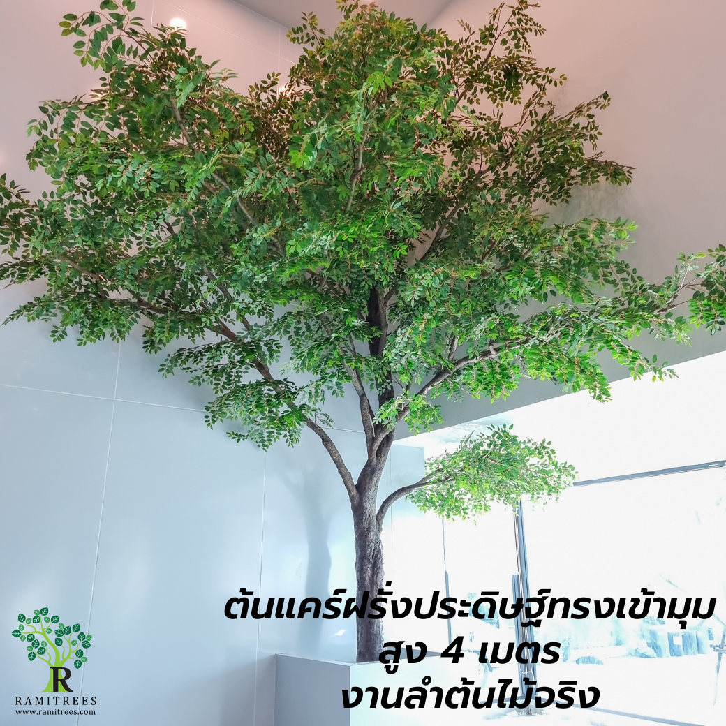 Project CNA Biotech ตกแต่งปรับภูมิทัศน์โซนรับแขกในสำนักงาน ด้วยต้นไม้ประดิษฐ์ขนาดใหญ่ by ramitrees.5