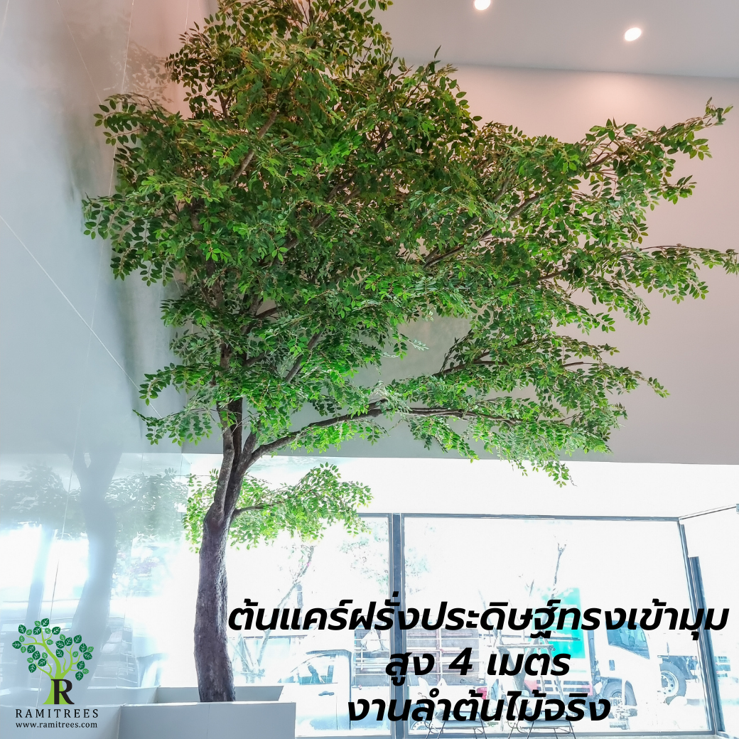 Project CNA Biotech ตกแต่งปรับภูมิทัศน์โซนรับแขกในสำนักงาน ด้วยต้นไม้ประดิษฐ์ขนาดใหญ่ by ramitrees.6