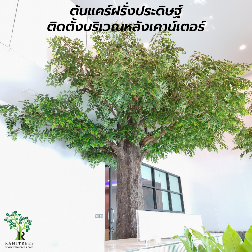 Project CNA Biotech ตกแต่งปรับภูมิทัศน์โซนรับแขกในสำนักงาน ด้วยต้นไม้ประดิษฐ์ขนาดใหญ่ by ramitrees.8