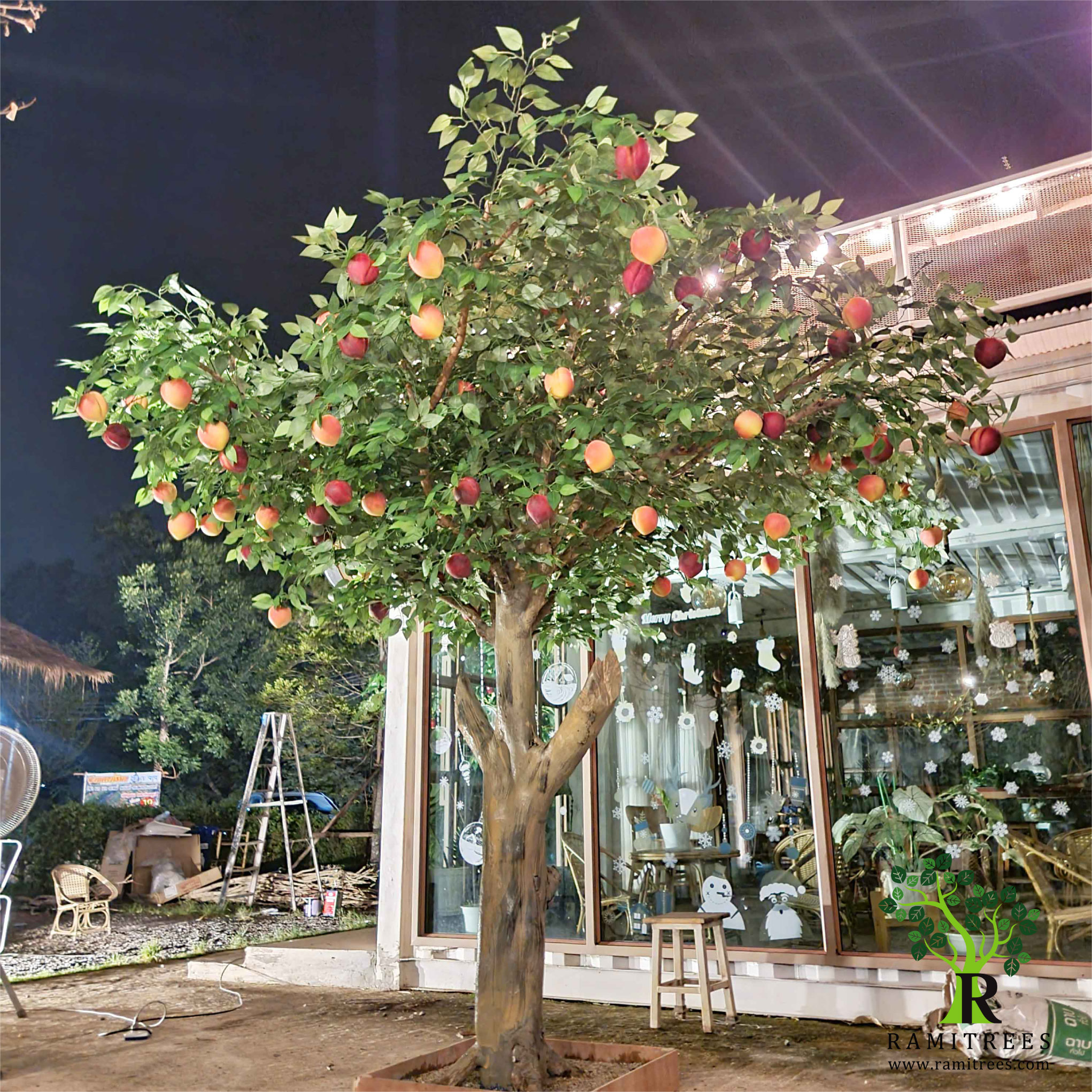 ต้นพีช 03