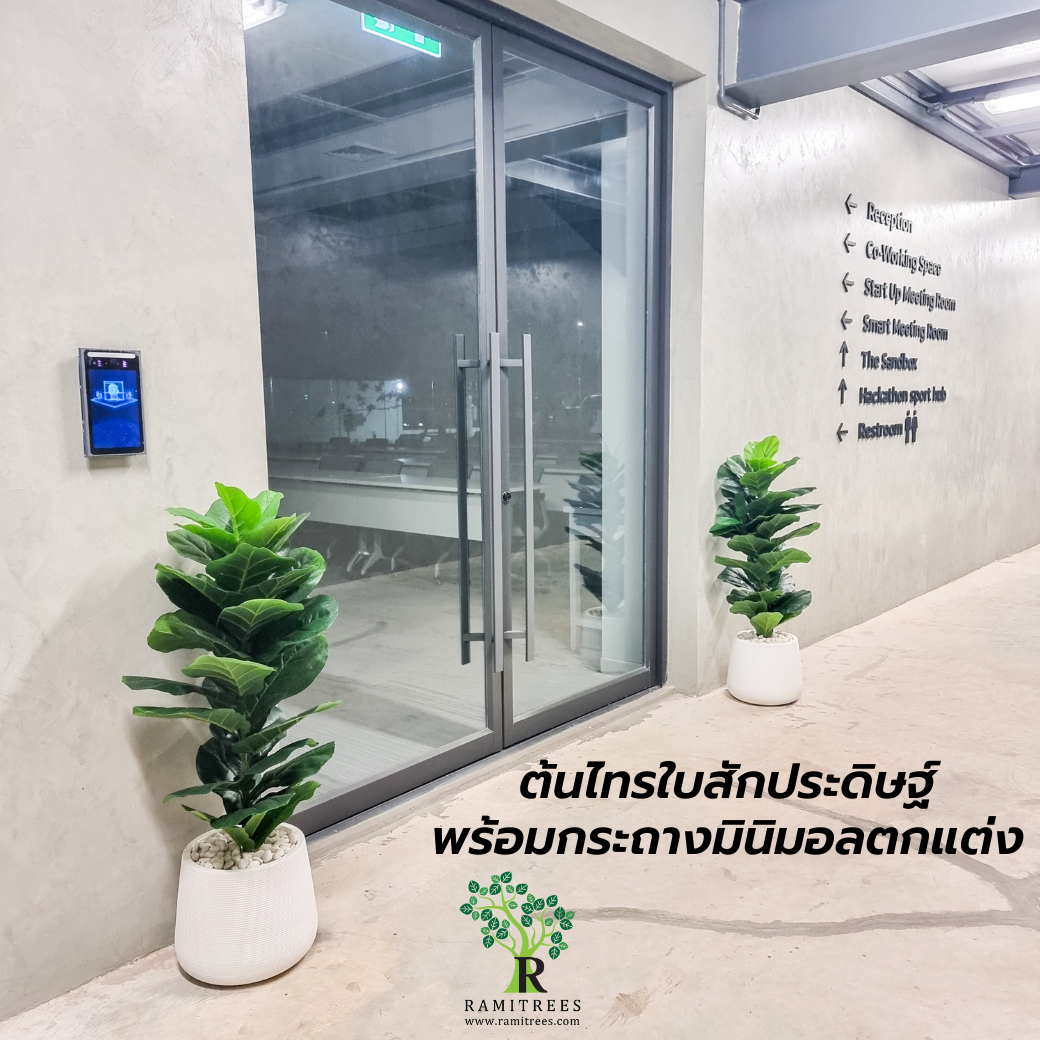 ปรับภูมิทัศน์ด้วยต้นไม้ประดิษฐ์ @บริษัทซีนเนอร์ยี่ อินโนเวชั่น จำกัด By ramitrees.10
