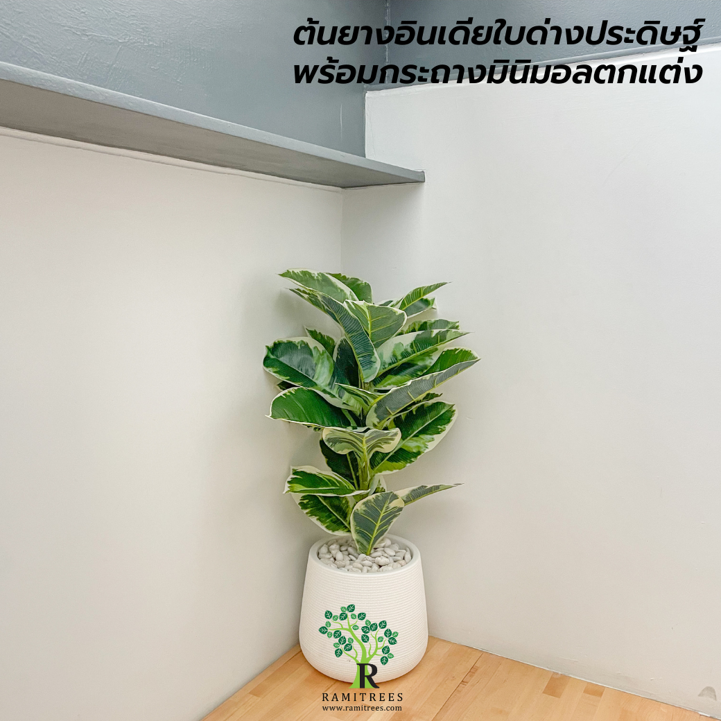 ปรับภูมิทัศน์ด้วยต้นไม้ประดิษฐ์ @บริษัทซีนเนอร์ยี่ อินโนเวชั่น จำกัด By ramitrees.15