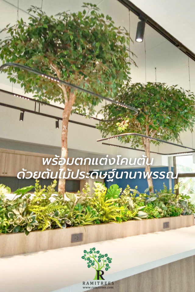 Project Bangkok aviation fuel service PCL ตกแต่งออฟฟิศ ต้นไทรประดิษฐ์พร้อมตกแต่งโคนต้น.2