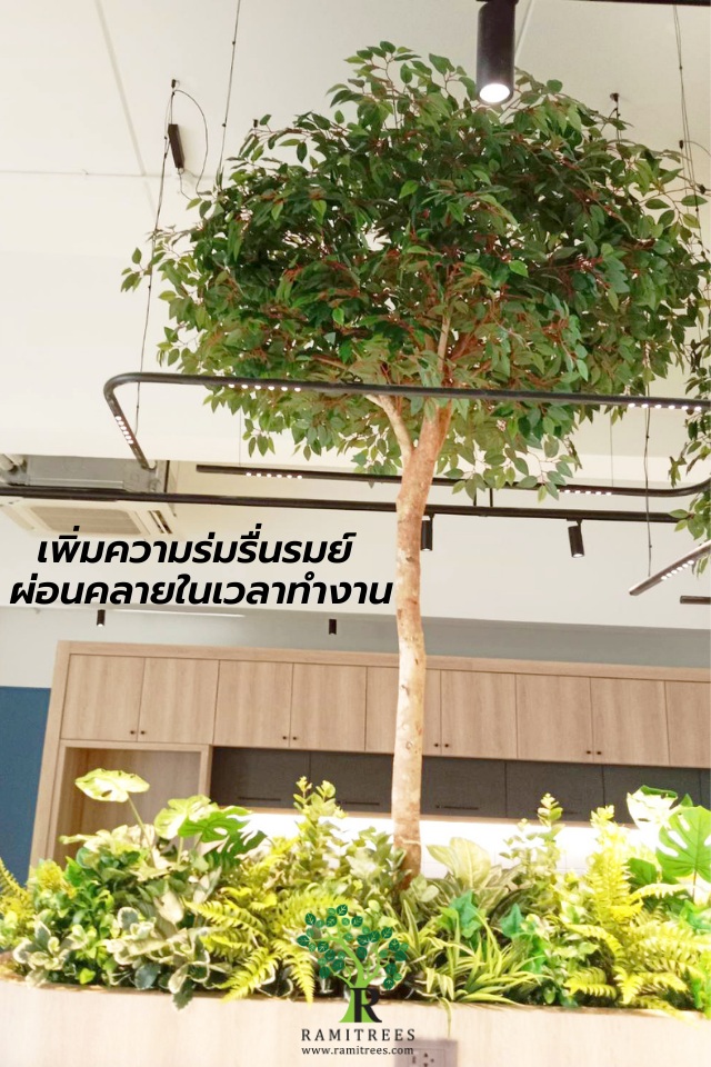 Project Bangkok aviation fuel service PCL ตกแต่งออฟฟิศ ต้นไทรประดิษฐ์พร้อมตกแต่งโคนต้น.4