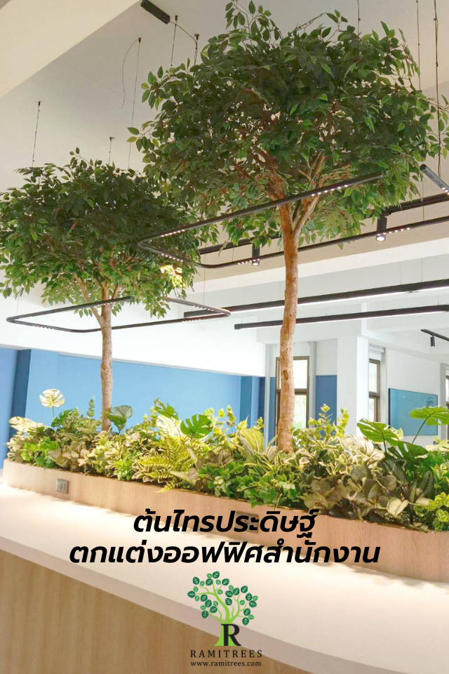 Project Bangkok aviation fuel service PCL ตกแต่งออฟฟิศด้วยต้นไทรประดิษฐ์พร้อมตกแต่งโคนต้น.1