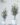 ต้นยูคาประดิษฐ์ Eucalyptus Tree (REC-001)