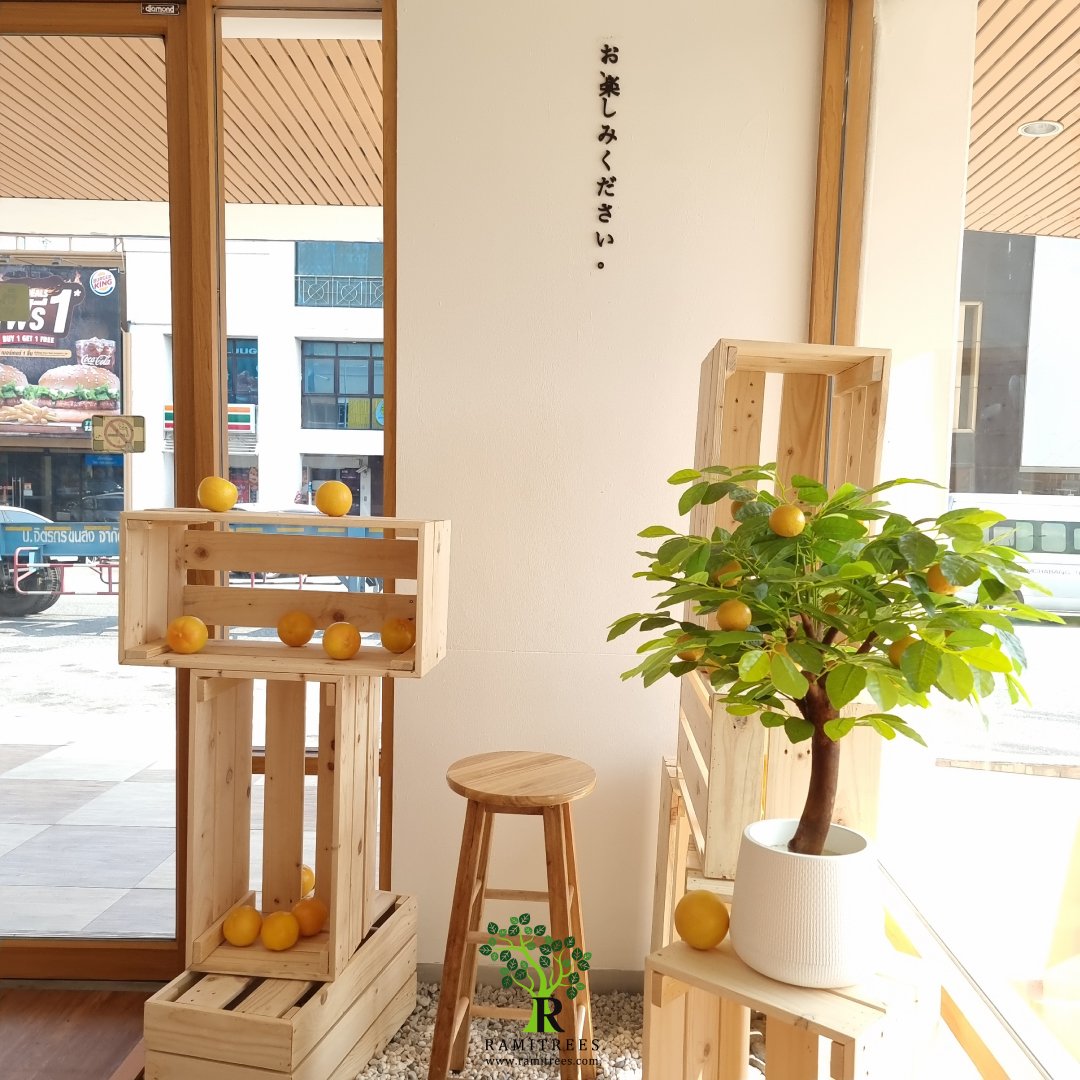 รีวิวต้นไม้ประดิษฐ์จากร้าน Ramitrees (55)