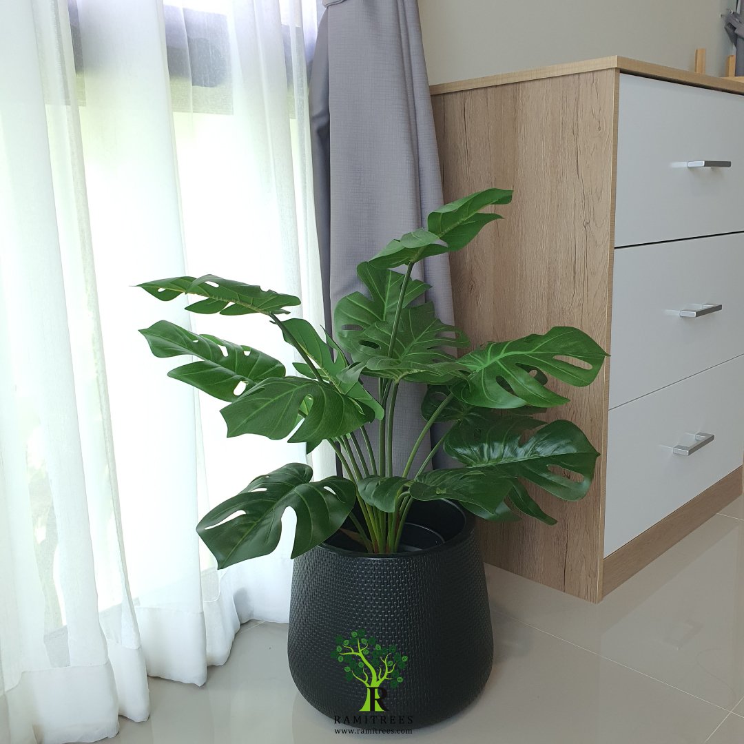 รีวิวต้นไม้ประดิษฐ์จากร้าน Ramitrees (95)