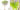 ต้นวิสทีเรียดอกสีม่วง–01