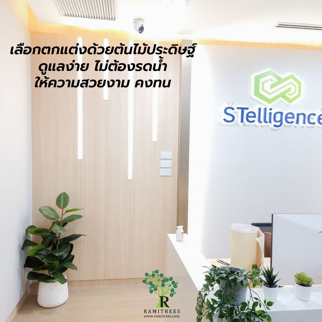 ปรับภูมิทัศน์ด้วยต้นไม้ประดิษฐ์ ในบริษัท STelligence By ramitrees (4)