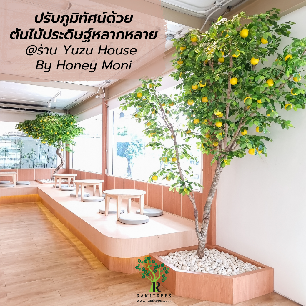 ปรับภูมิทัศน์ด้วยต้นไม้ประดิษฐ์หลากหลาย เน้นงานสไตล์ญี่ปุ่น @Yuzu House (Honey Moni) (2)