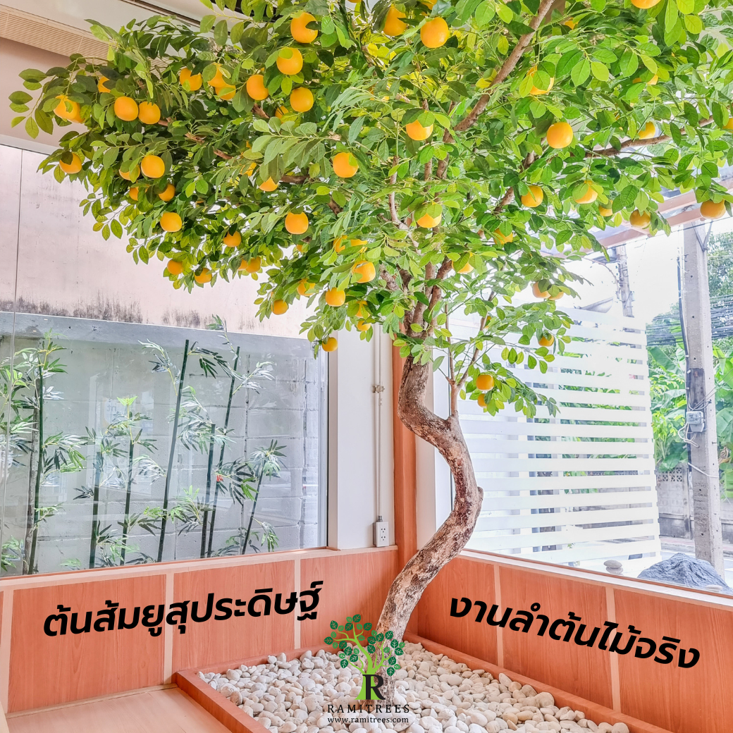 ปรับภูมิทัศน์ด้วยต้นไม้ประดิษฐ์หลากหลาย เน้นงานสไตล์ญี่ปุ่น @Yuzu House (Honey Moni) (3)