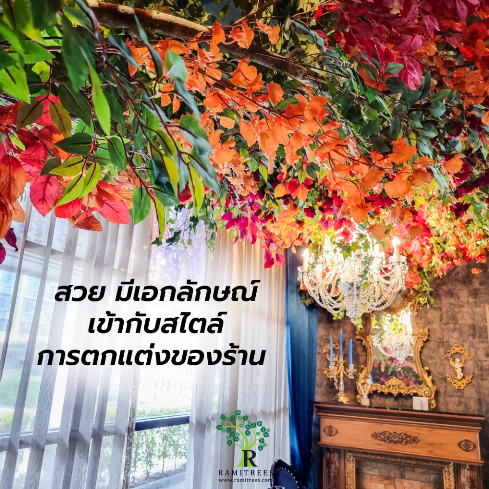 My Image 40