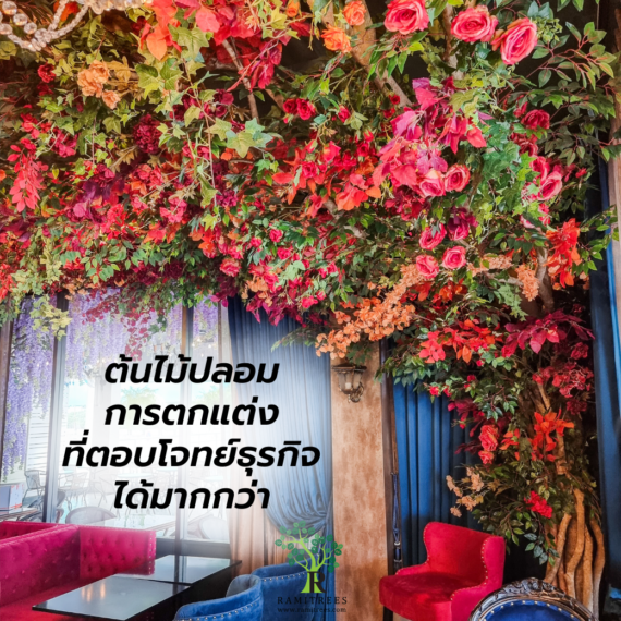 My Image 22