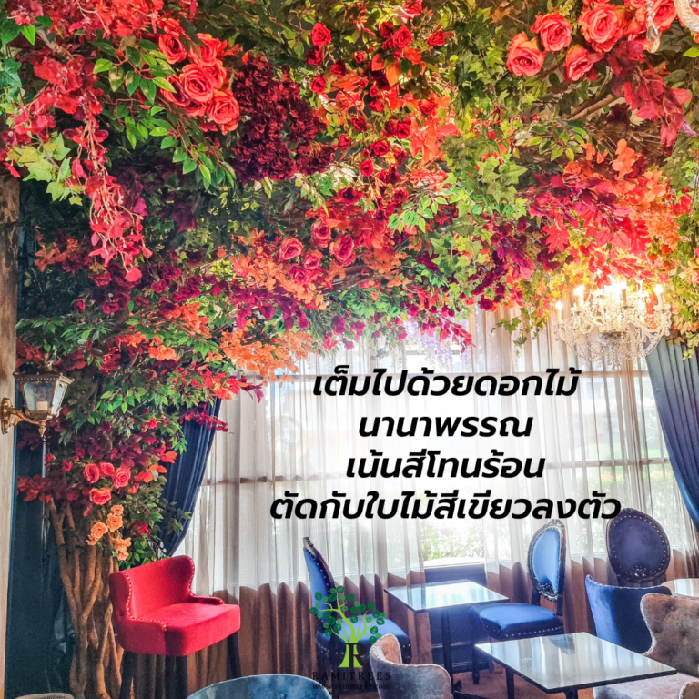 My Image 23