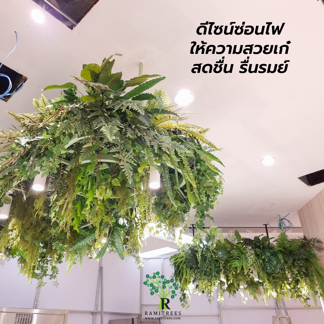 ติดตั้งสวนแขวนต้นไม้ประดิษฐ์ @ Sushiplus สาขาแฟชั่นไอส์แลนด์ By ramitrees (2)