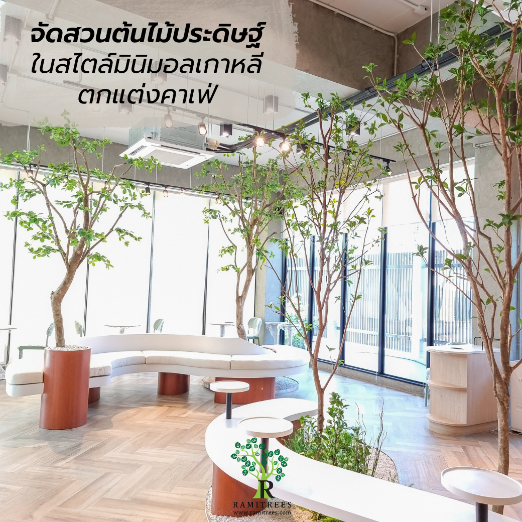จัดสวนต้นไม้ปลอม มินิมอลสไตล์ กลิ่นอายคาเฟ่เกาหลี By ramitrees (2)