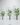ต้นกล้วยปลอม PU , Banana Tree (RBA10)102