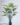 ต้นซานาดูปลอม ต้นซานาดูประดิษฐ์ Artificial Xanadu Tree (2)