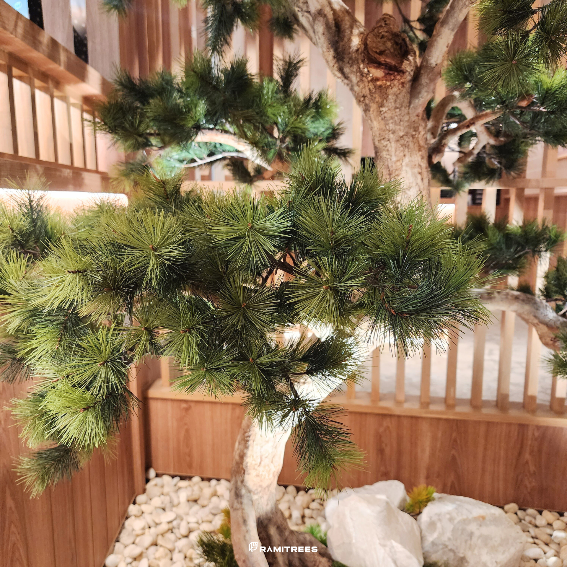 ต้นบอนไซ (Bonsai Tree) 02