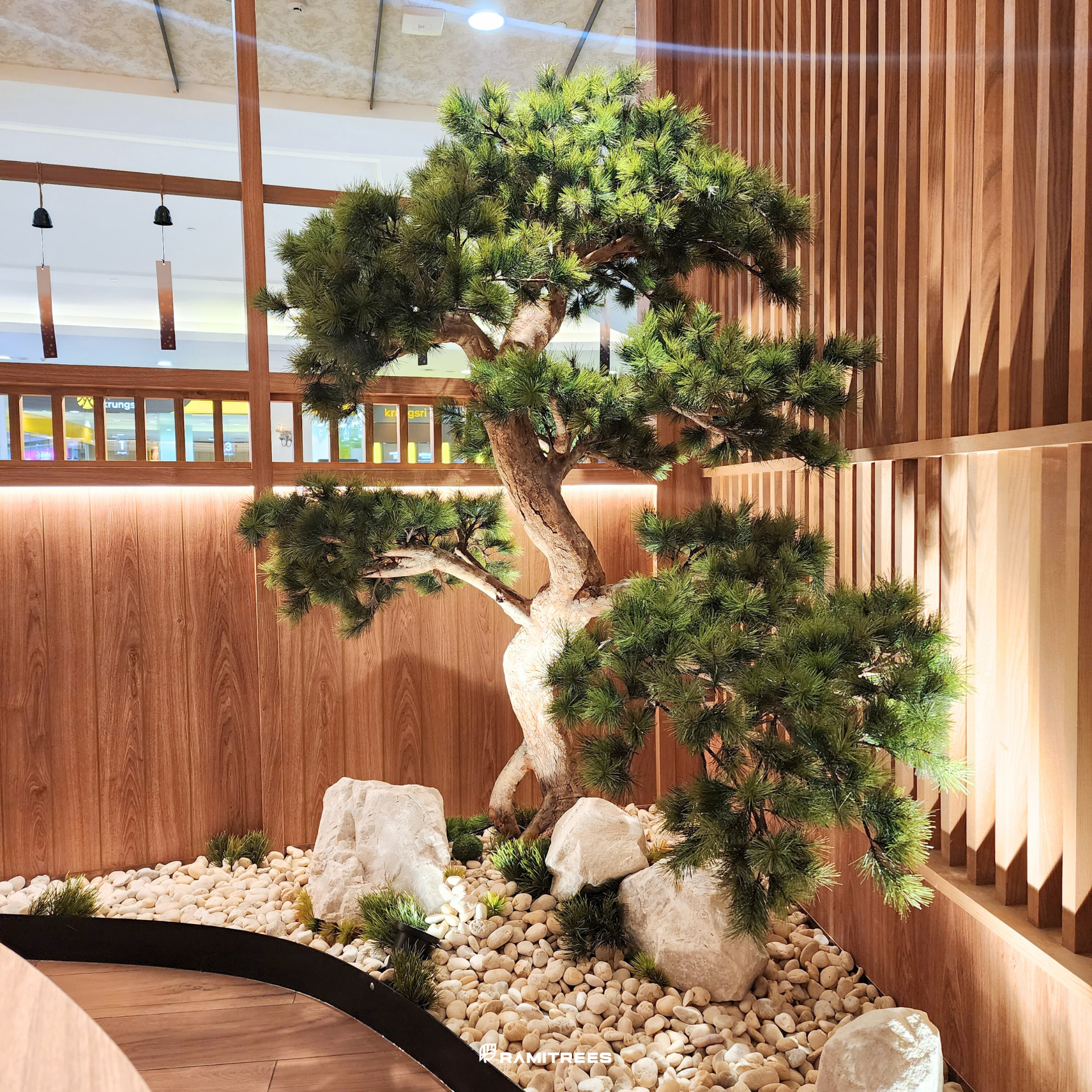 ต้นบอนไซ (Bonsai Tree) 03