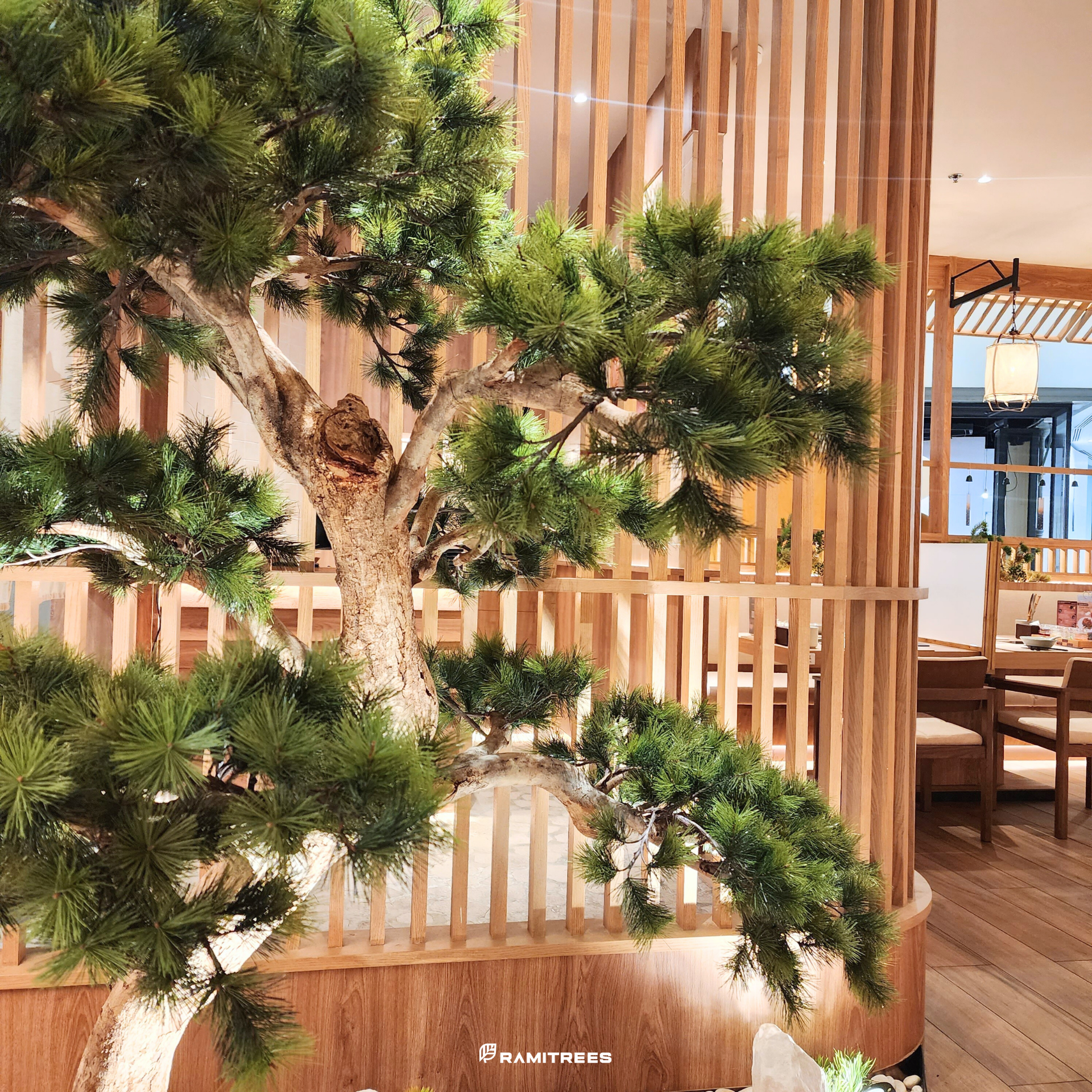 ต้นบอนไซ (Bonsai Tree) 04