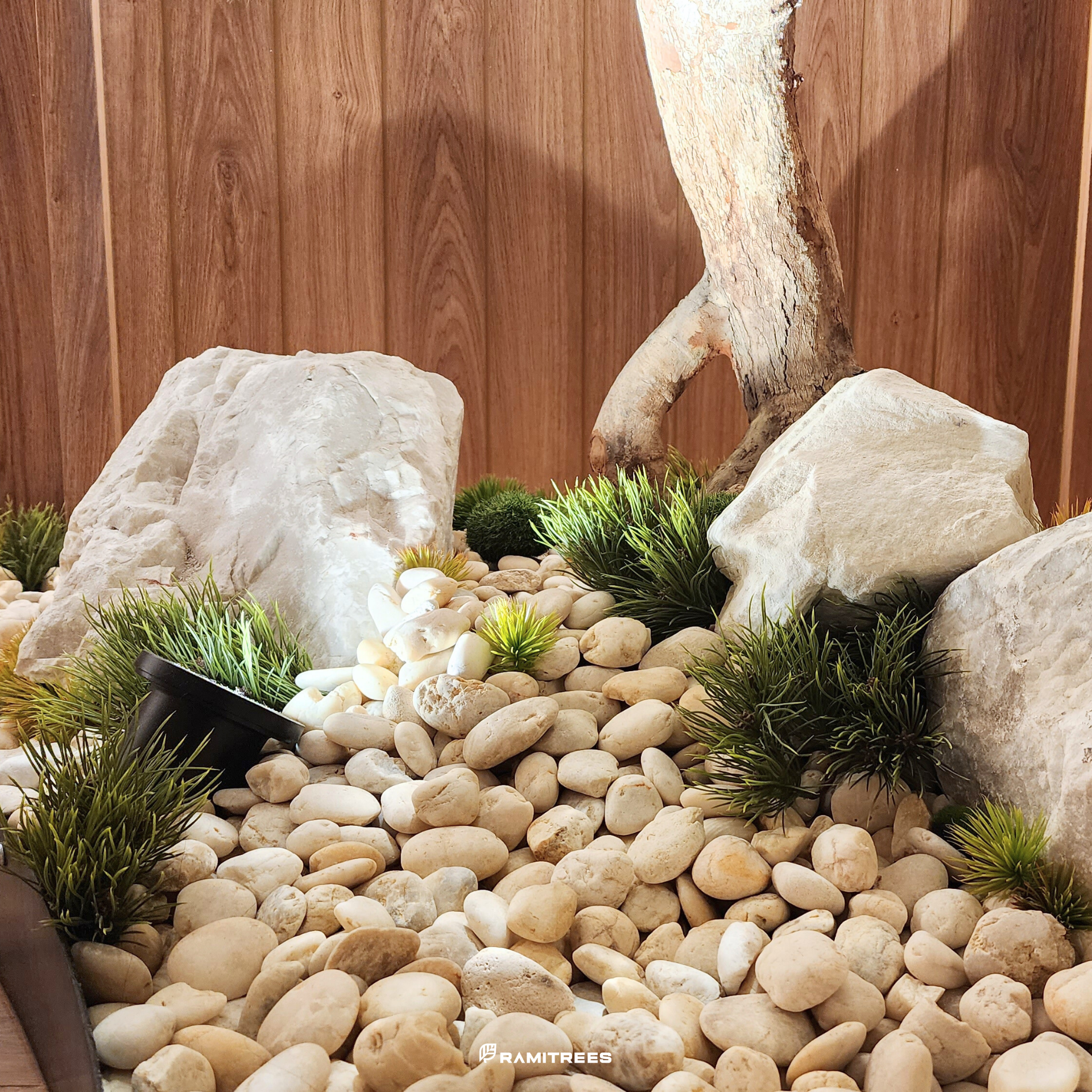 ต้นบอนไซ (Bonsai Tree) 07