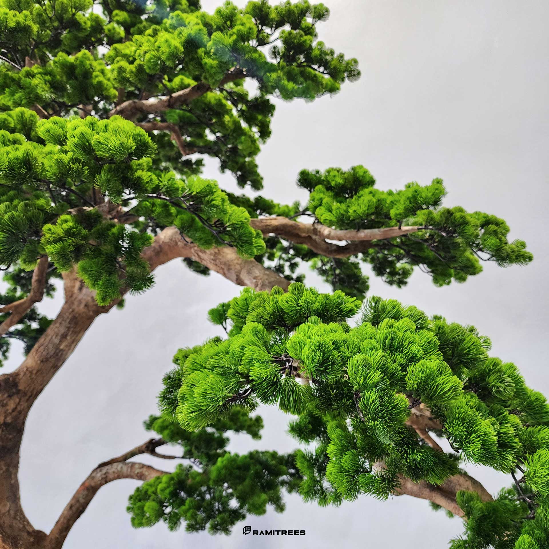 ต้นบอนไซประดิษฐ์-Bonsai-Tree-03