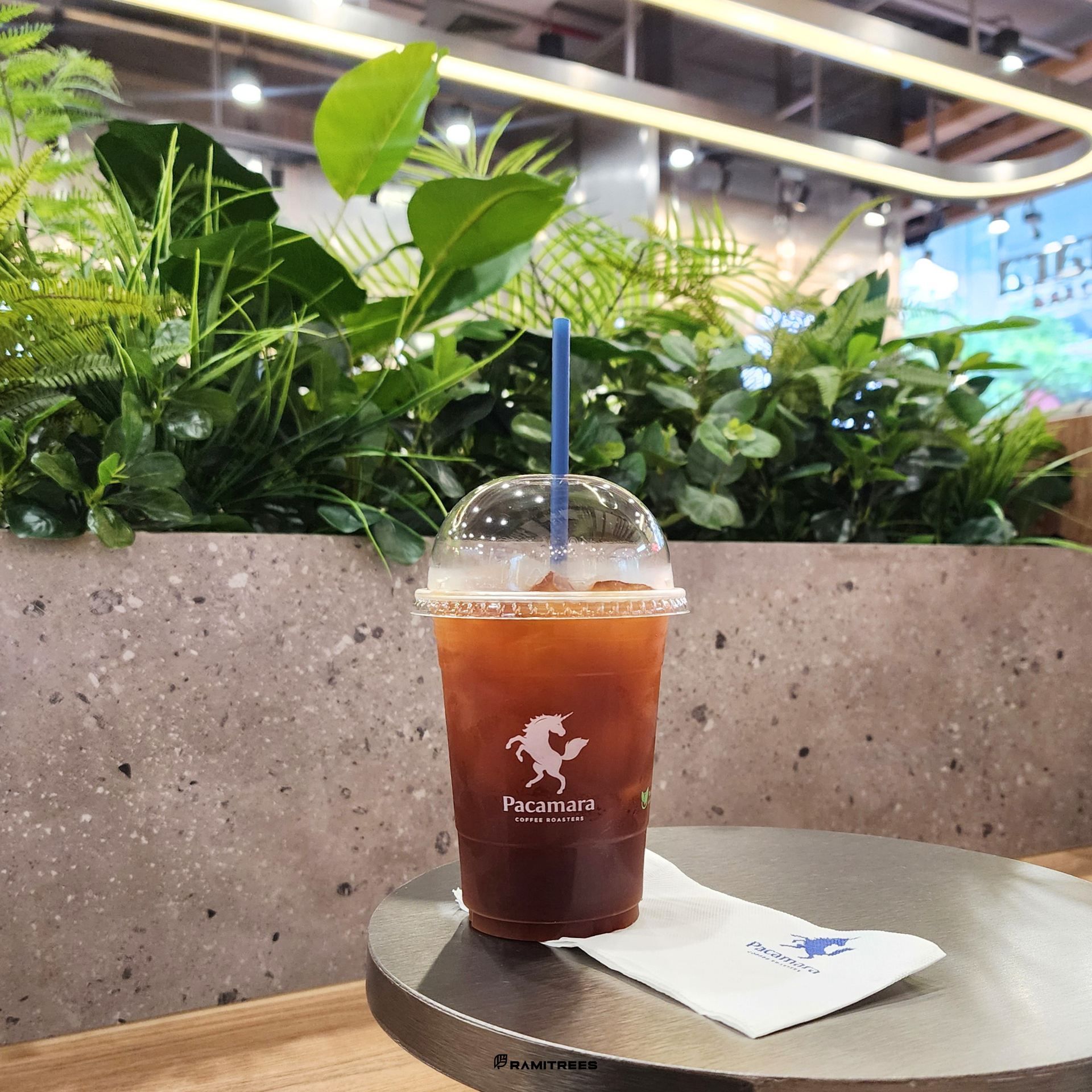 จัดสวนปรับภูมิทัศน์ จัดสวนต้นไม้ปลอม จัดสวนต้นไม้ประดิษฐ์ Artificial Garden Landscape (3)