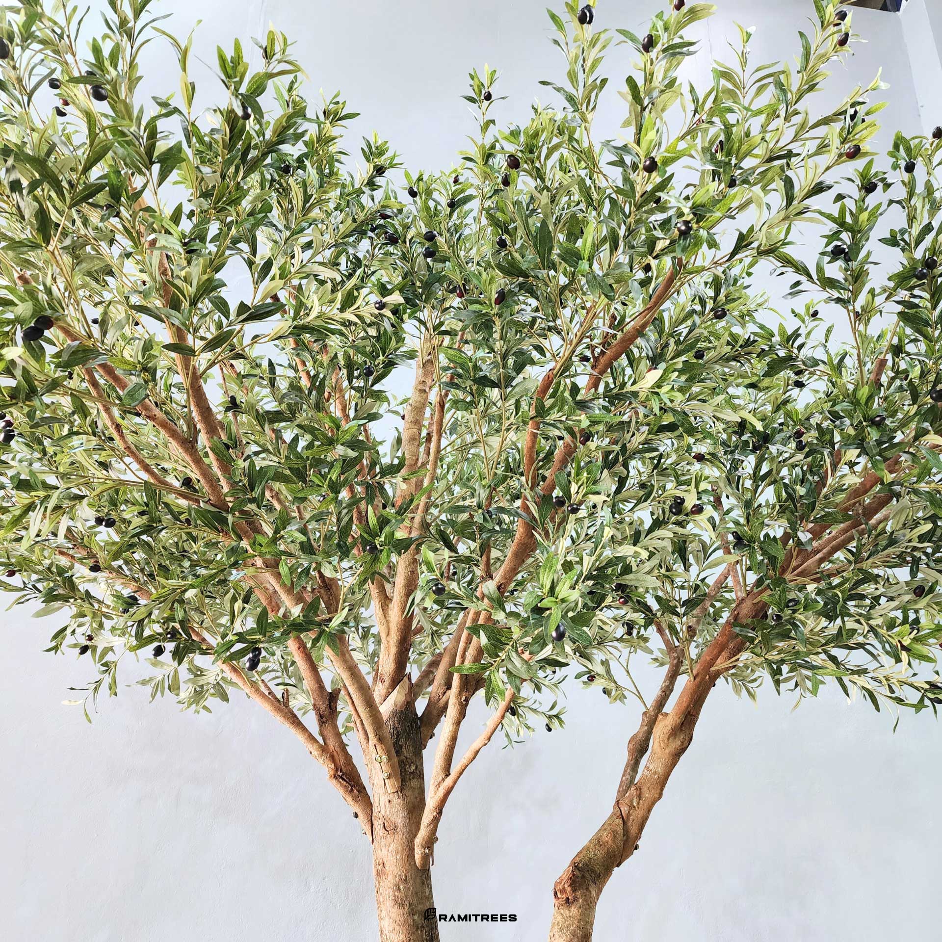 ต้นมะกอกโอลีฟปลอมต้นมะกอกโอลีฟประดิษฐ์-ต้นมะกอกโอลีฟเทียม-Olive-Tree-3-1
