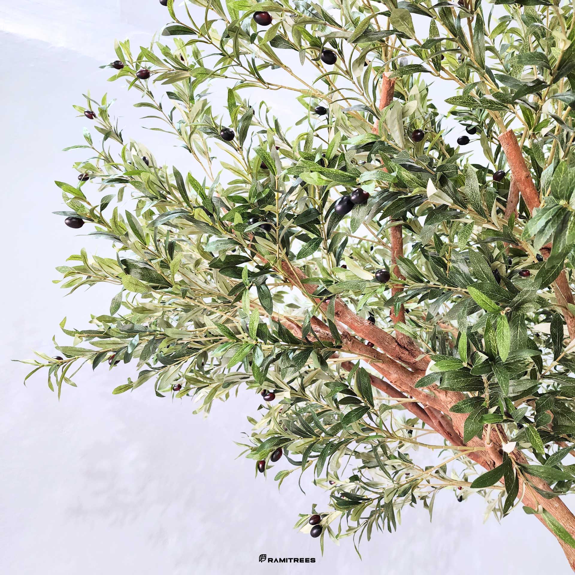 ต้นมะกอกโอลีฟปลอมต้นมะกอกโอลีฟประดิษฐ์-ต้นมะกอกโอลีฟเทียม-Olive-Tree-5