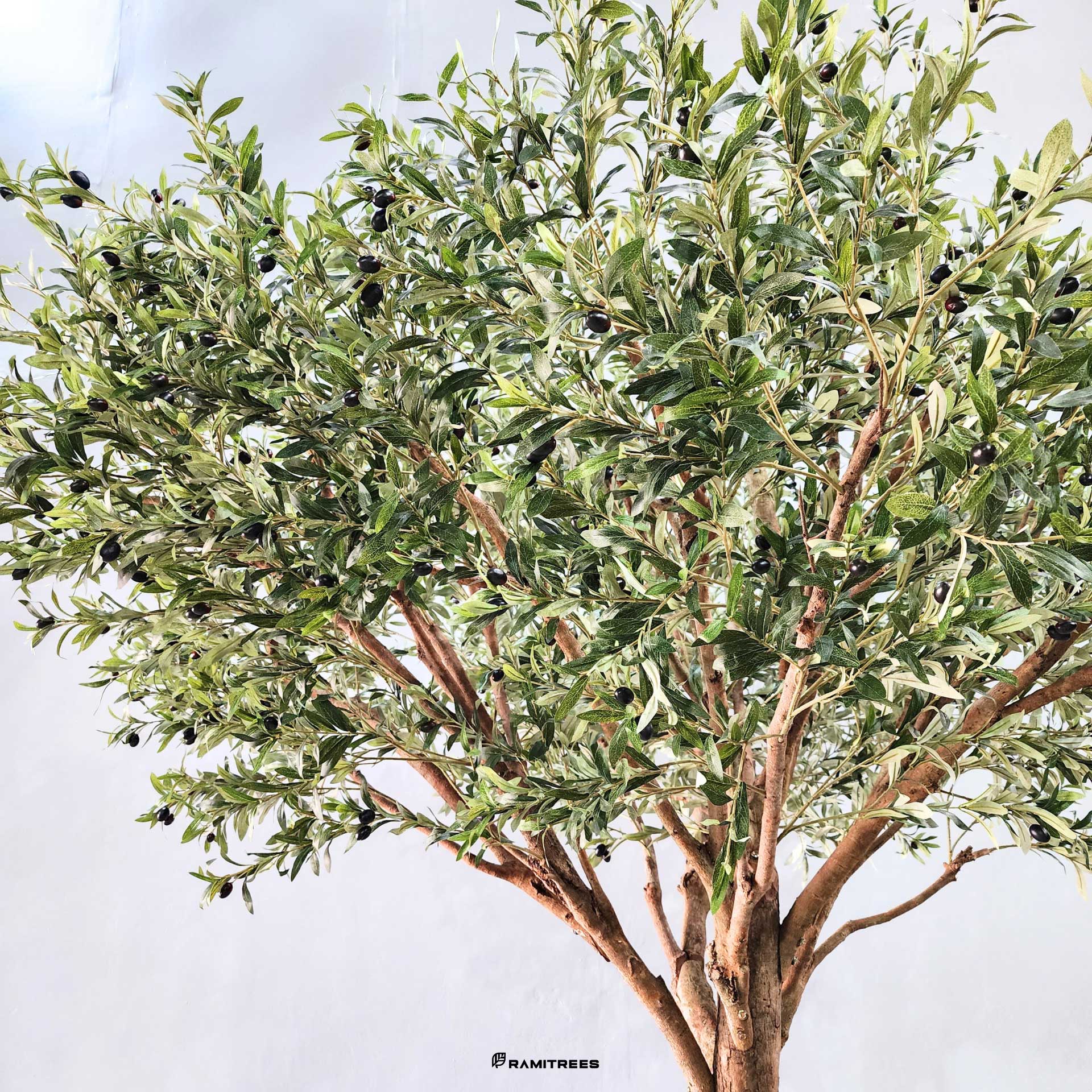 ต้นมะกอกโอลีฟปลอมต้นมะกอกโอลีฟประดิษฐ์-ต้นมะกอกโอลีฟเทียม-Olive-Tree-8-1