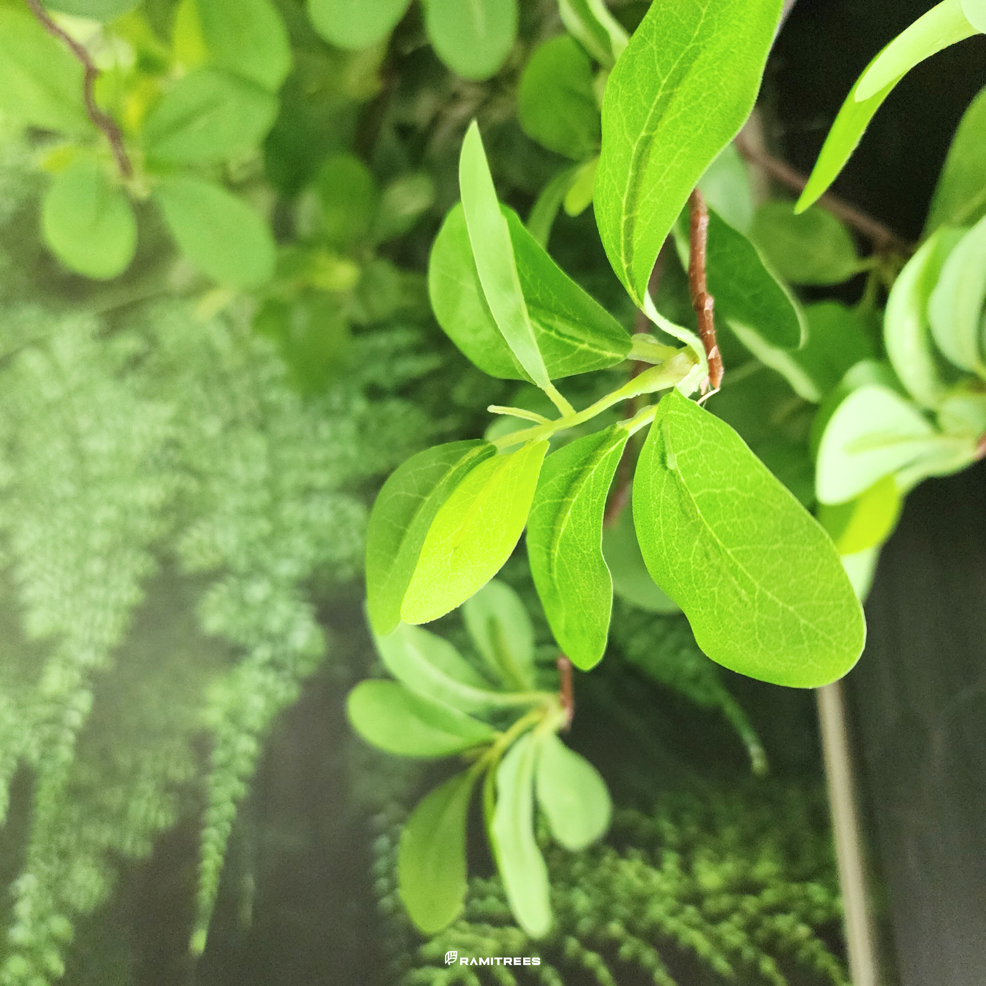 จัดสวนปรับภูมิทัศน์ จัดสวนต้นไม้ปลอม จัดสวนต้นไม้ประดิษฐ์ Artificial Garden Landscape (7)