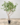 ต้นซึบากิประดิษฐ์ขนาดใหญ่ ต้นไม้มินิมอลสไตล์ ต้นไม้สไตล์มินิมอล Minimal Style
