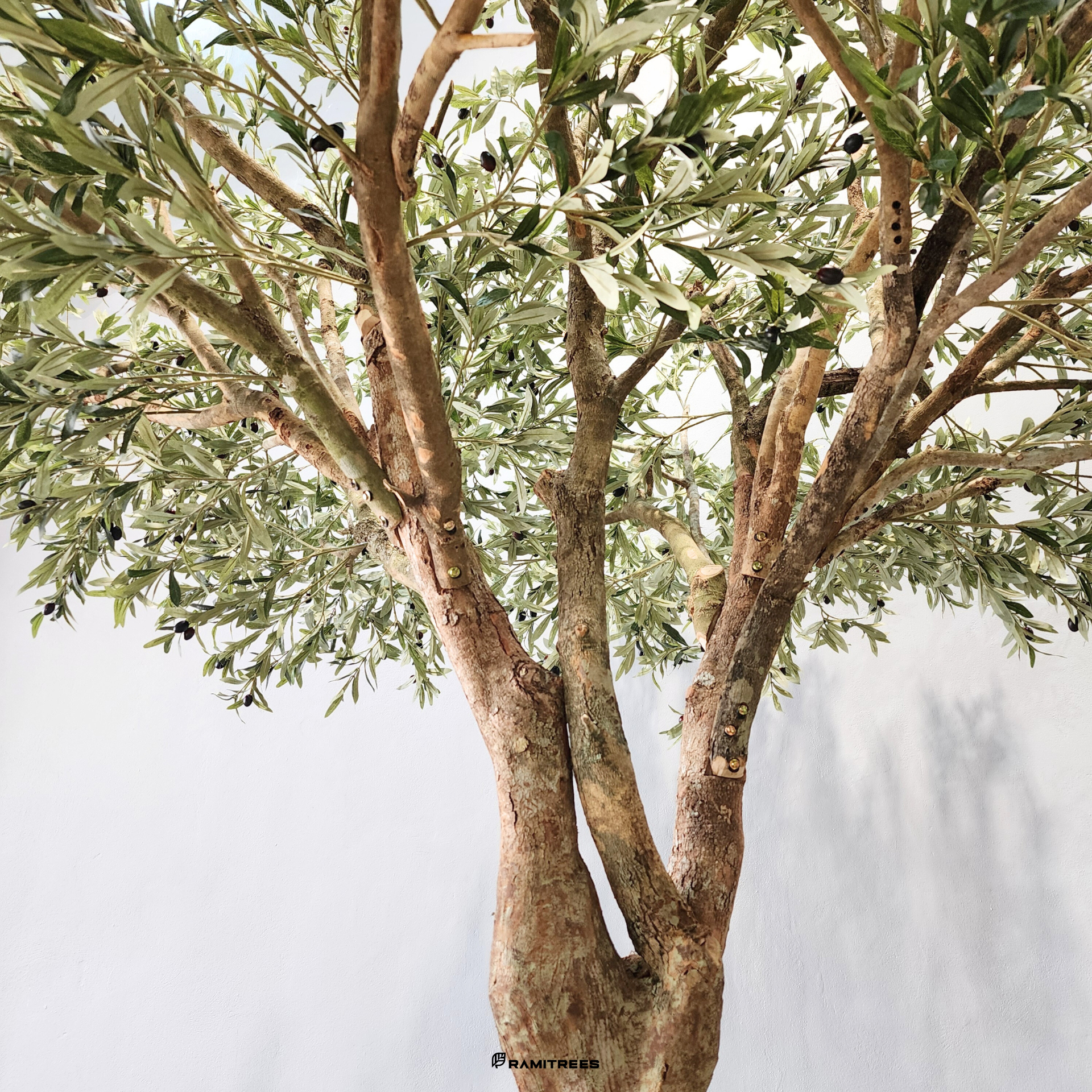 ต้นมะกอกโอลีฟปลอมต้นมะกอกโอลีฟประดิษฐ์-ต้นมะกอกโอลีฟเทียม-Olive-Tree-4