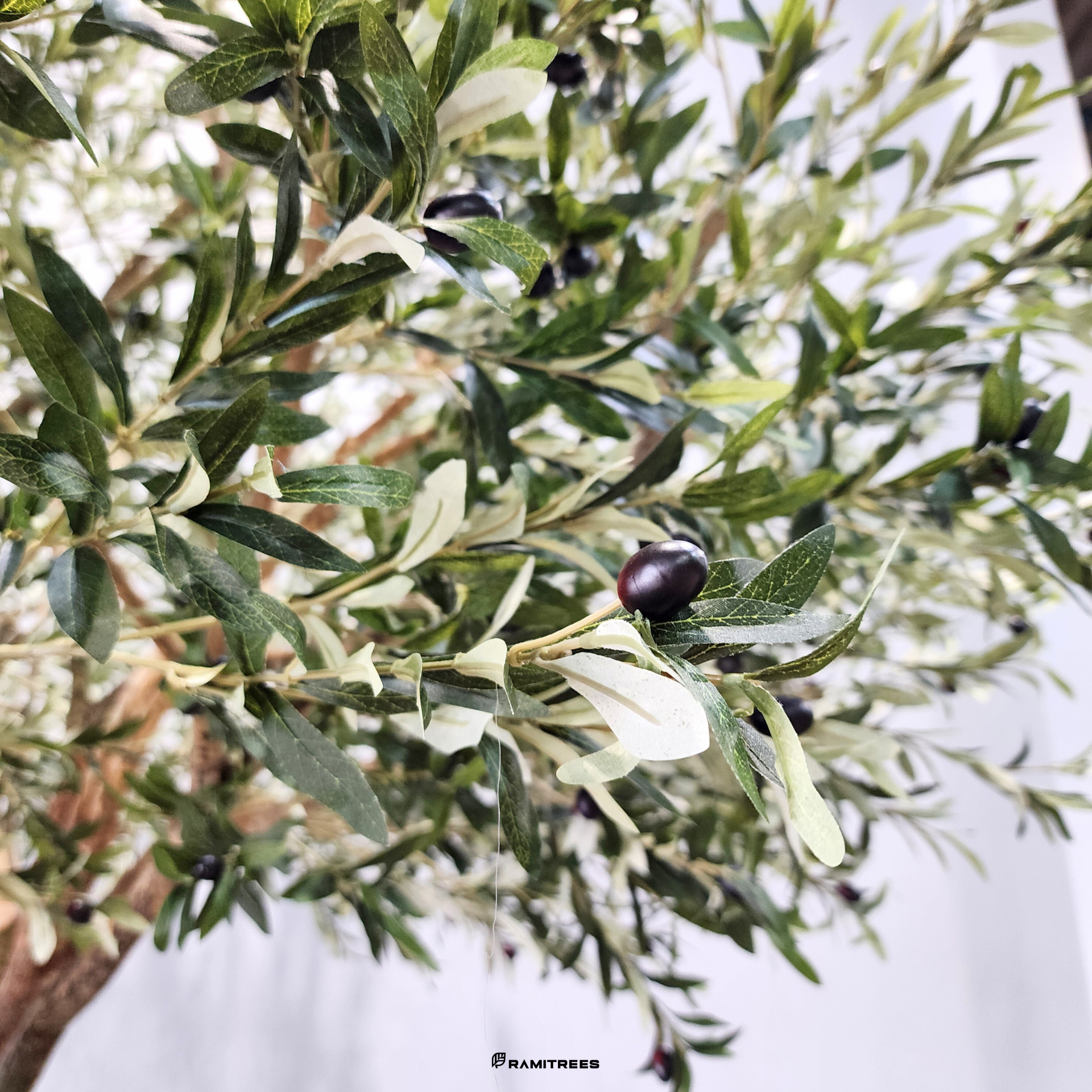 ต้นมะกอกโอลีฟปลอมต้นมะกอกโอลีฟประดิษฐ์-ต้นมะกอกโอลีฟเทียม-Olive-Tree-5