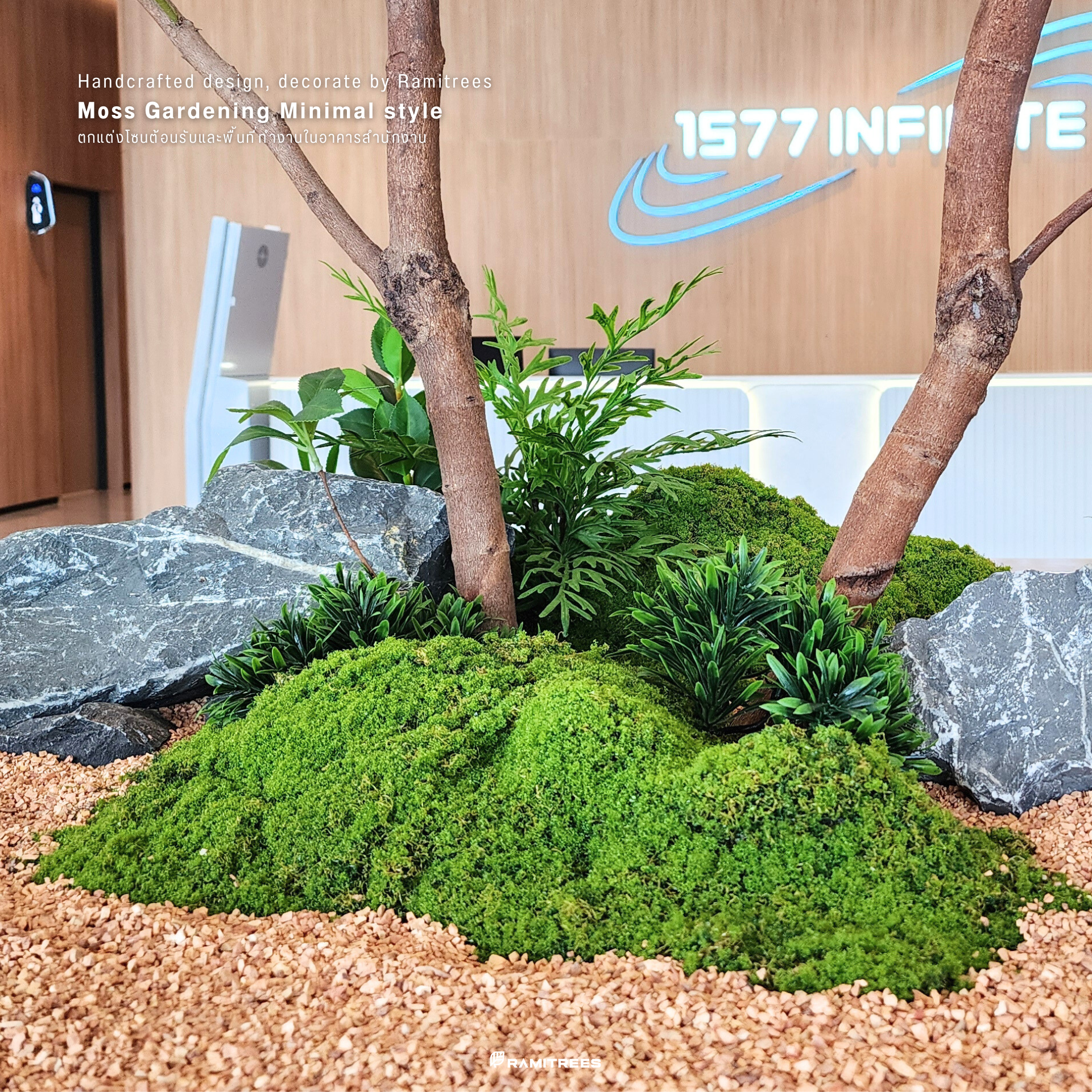 มอสส์ มอสส์เสมือนจริง จัดสวนมอสส์ จัดสวนมอสส์ปลอม tree moss garden Minimal Style (12)