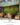 Menarini Moss Wall ผนังมอสส์ออกแบบลาย realistic