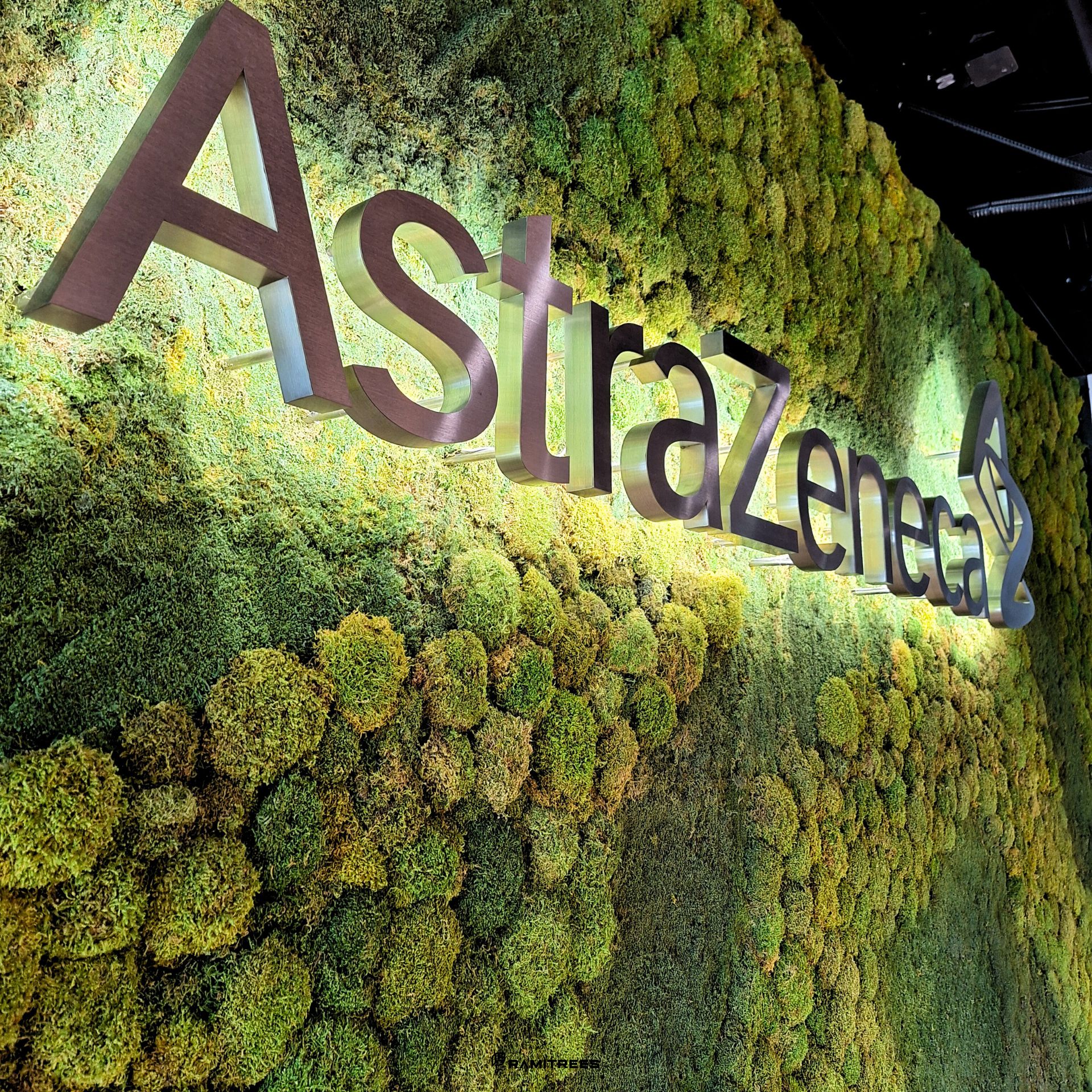 Moss Wall มอสส์ สวนแนวตั้งผนังมอสส์ ผนังมอส มอสส์เสมือนจริง จัดสวนมอส (5)