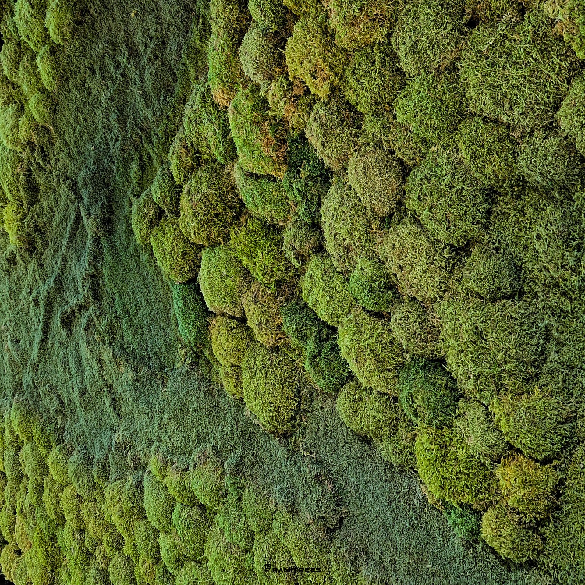 Moss Wall มอสส์ สวนแนวตั้งผนังมอสส์ ผนังมอส มอสส์เสมือนจริง จัดสวนมอส (7)
