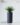 ต้นจันผา ต้นจันผาปลอม ต้นจันผาประดิษฐ์ ต้นจันผาเทียม ArtificialDracaenaLoureiriTree
